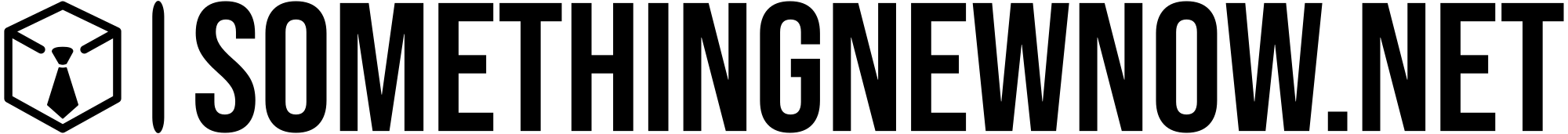 Somethingnewnow logo