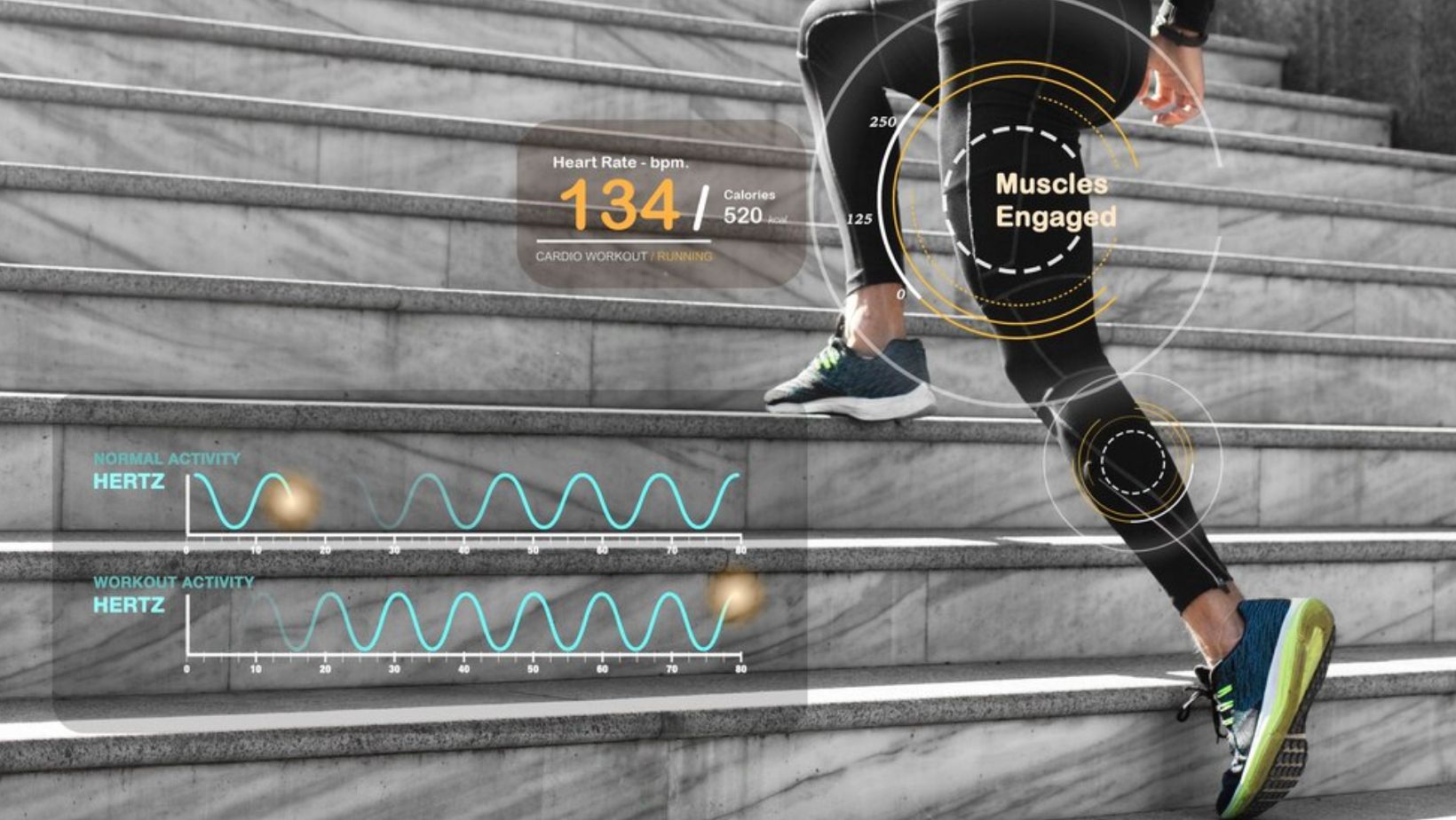 Biometrics in Sports: Unlocking the Future of Athletic Performance ...