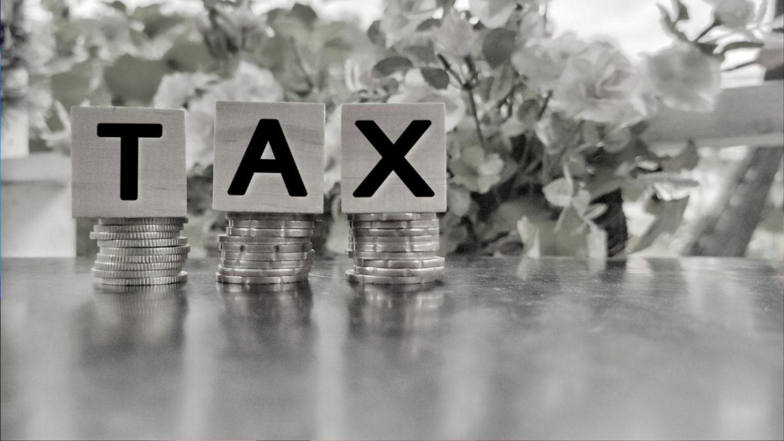 smart business owners, tax season planning, next year business strategy, small business tax tips, business growth strategies, tax preparation tips, financial planning for small business, business efficiency tools, year-round business management, regional business advisors