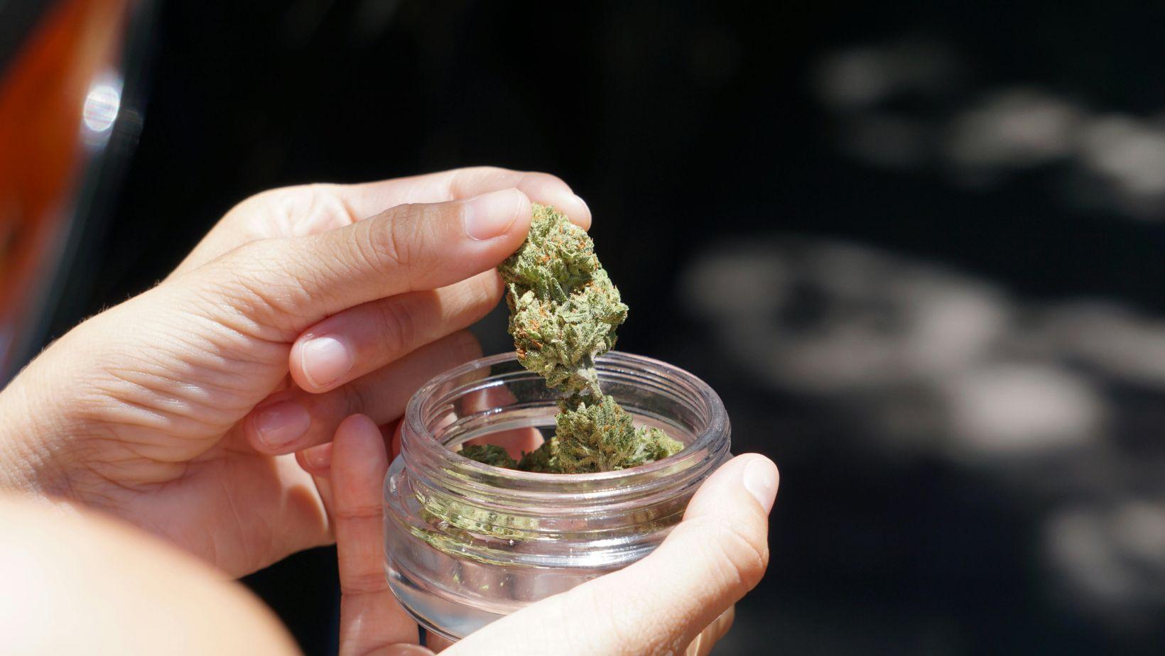 sustainable cannabis, eco friendly cannabis growing, organic cannabis cultivation, eco friendly packaging cannabis, sustainable cannabis products, green cannabis farming, biodegradable cannabis packaging, cannabis wellness sustainability, eco conscious cannabis brands, environmentally friendly cannabis